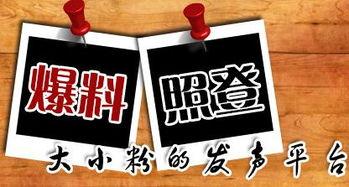 爆料新闻的平台叫什么,爆料新闻平台背后的真相  第1张